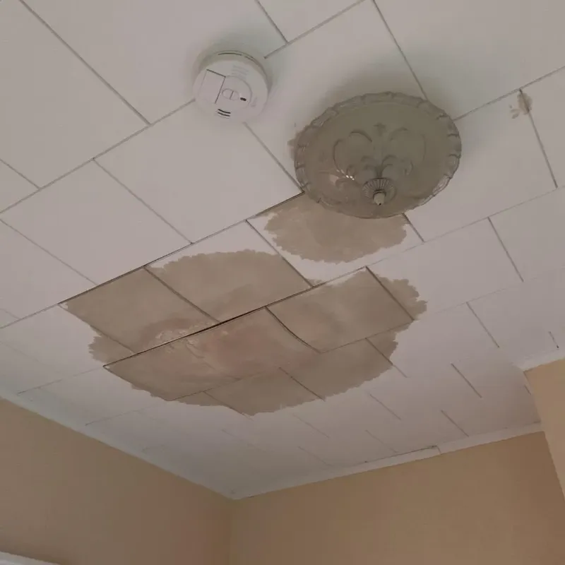 Ceiling Water Damage Repair in Encantada-Ranchito-El Calaboz, TX