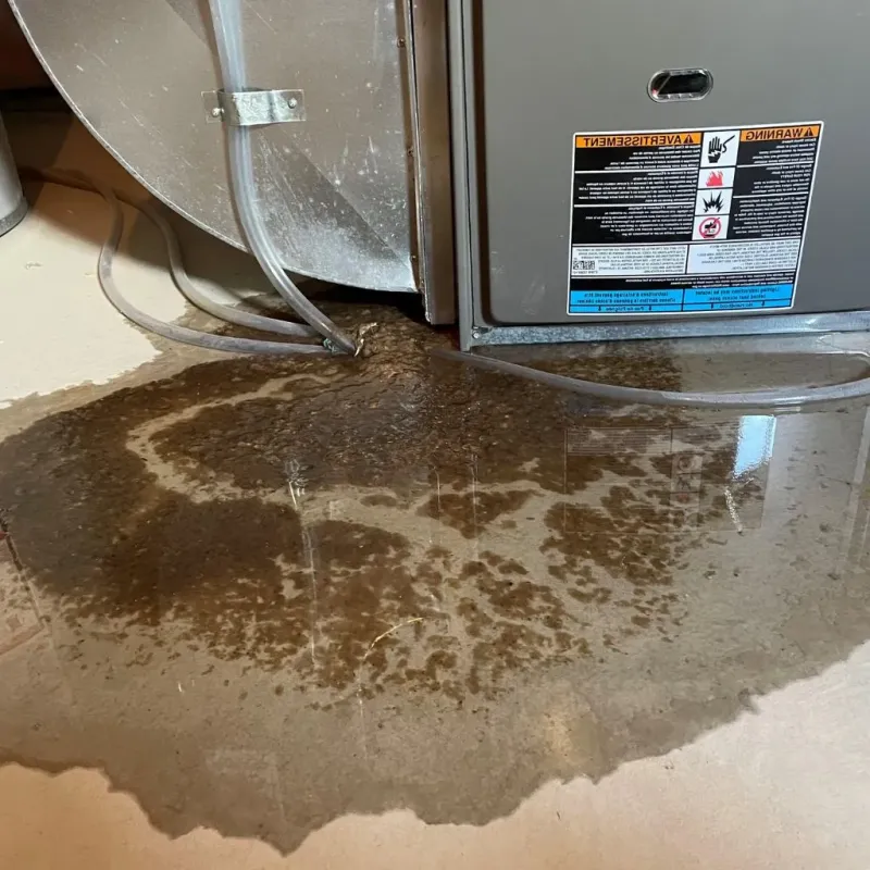 Pipe Burst and Leak Restoration in Encantada-Ranchito-El Calaboz, TX